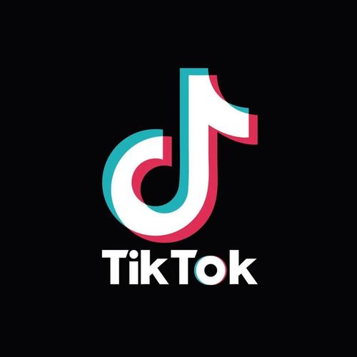 TikTok's New Feature: Enhanced Data Security Measures 
